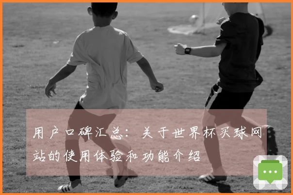 用户口碑汇总：关于世界杯买球网站的使用体验和功能介绍