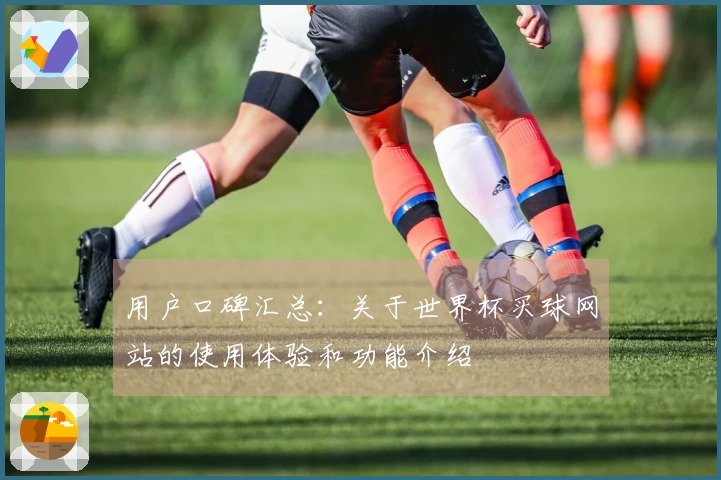 用户口碑汇总：关于世界杯买球网站的使用体验和功能介绍