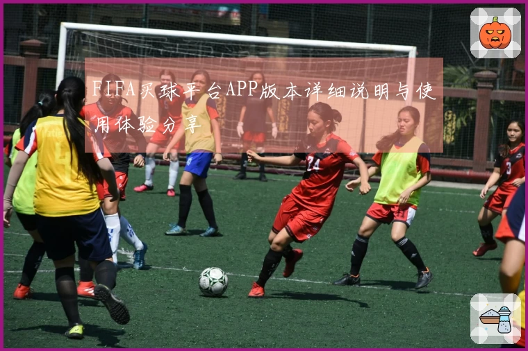 FIFA买球平台APP版本详细说明与使用体验分享